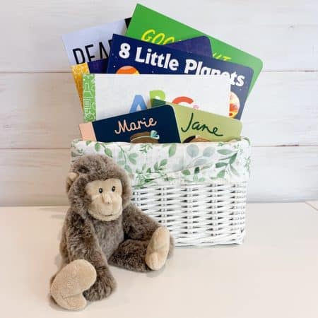 little scientist gift basket, science books, science book, little scientist, little scientists